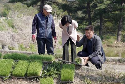 양구군 첫 모내기 행사10-1500.jpg