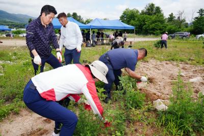 2023년도 생태계교란식물 제거의 날 행사16-1500.jpg