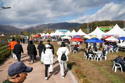 2023 청춘양구 펀치볼 시래기 사과축제06-1500.jpg