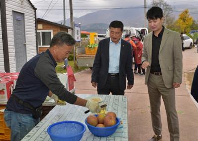 20241102 2024 청춘양구 시래기 사과 축제 (1)-1.JPG