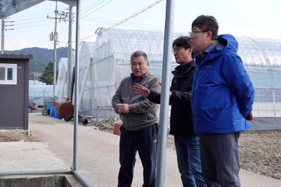 20260312 창리 비닐하우스 화재피해현장 점검 (7).JPG