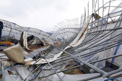 20260318 강풍 피해 농가 방문 (17).JPG