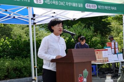 20260716 2026 해안면민 한마음 걷기대회 (12).JPG