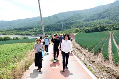 20260716 2026 해안면민 한마음 걷기대회 (40).JPG