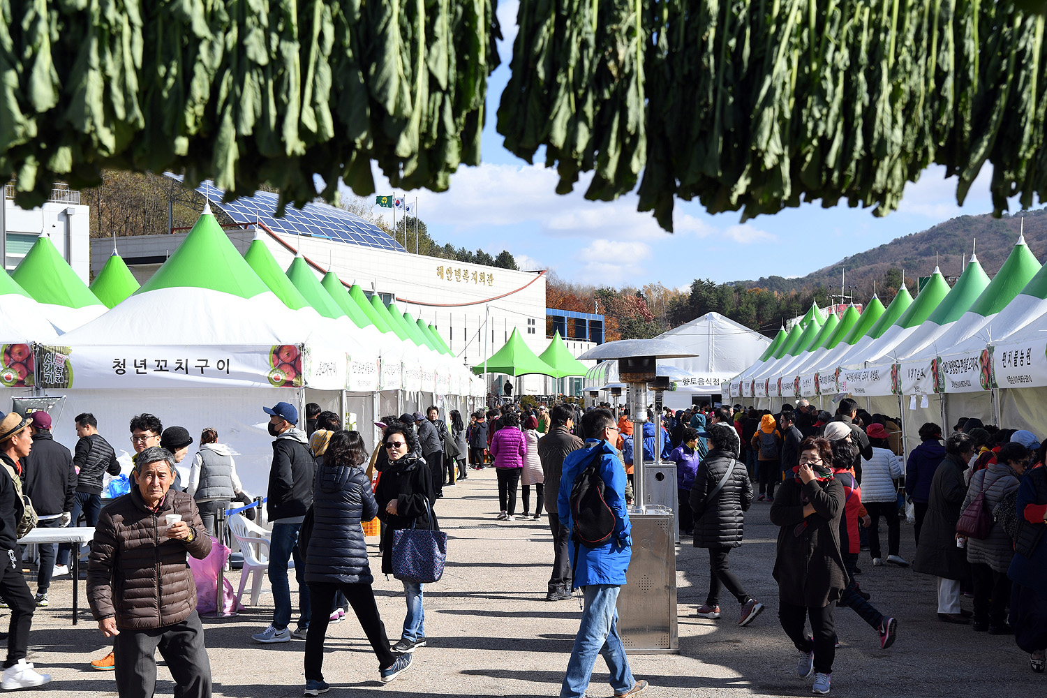 DMZ펀치볼 시래기 축제