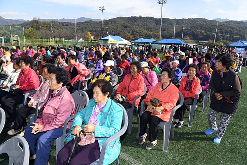 동면 면민체육대회 참석