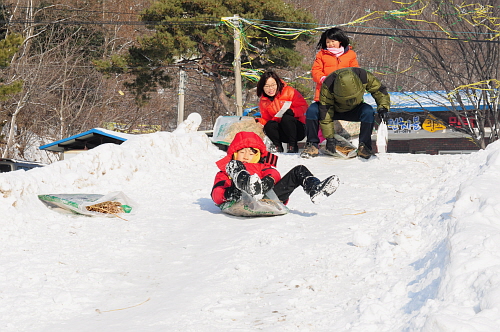 DMZ펀치볼시래기축제개회식5DSC_6965_1.JPG