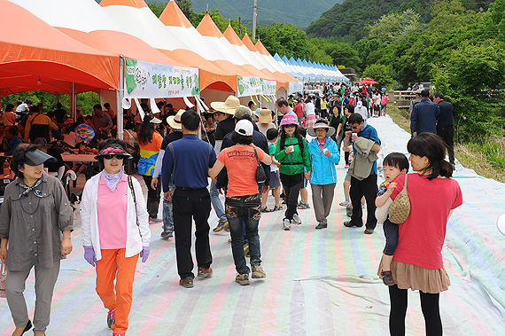 2012곰취축제3.jpg