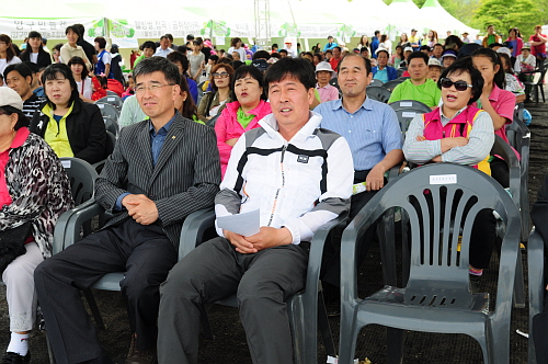 2013년 청춘양구 곰취축제