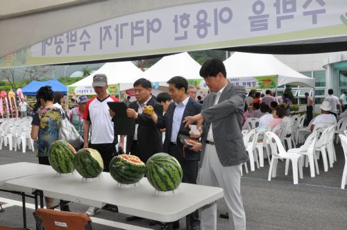 국토정중앙 청춘양구 수박축제