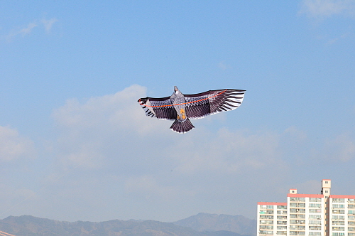 제17회동계민속예술축제참석12DSC_3801.jpg